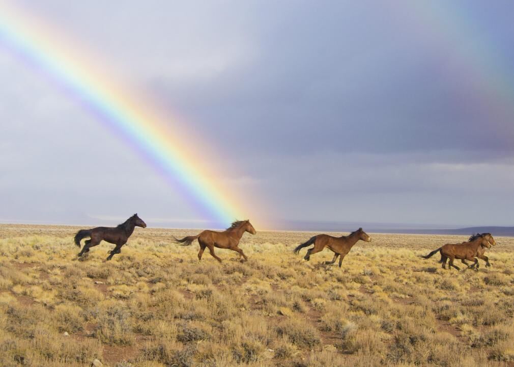 #15. Nye County, Nevada
